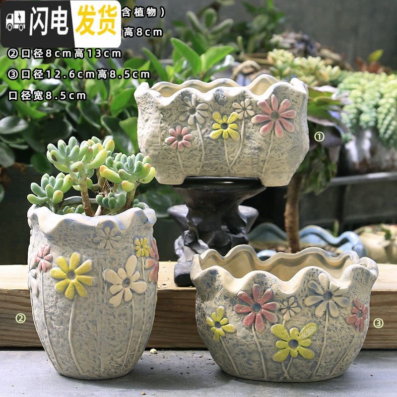 三维工匠多肉花盆陶瓷粗陶透气简约肉肉植物创意复古大小口径花盆 我爱花园两件套 大花盆容器图片