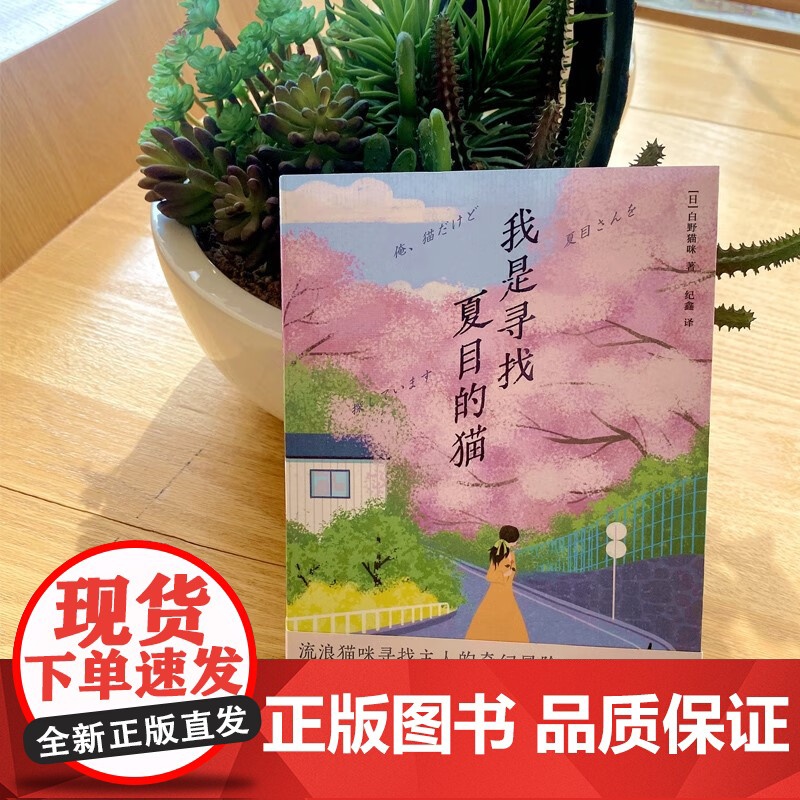 我是寻找夏目的猫 青鲤文库 白野猫咪 著 小说高清大图