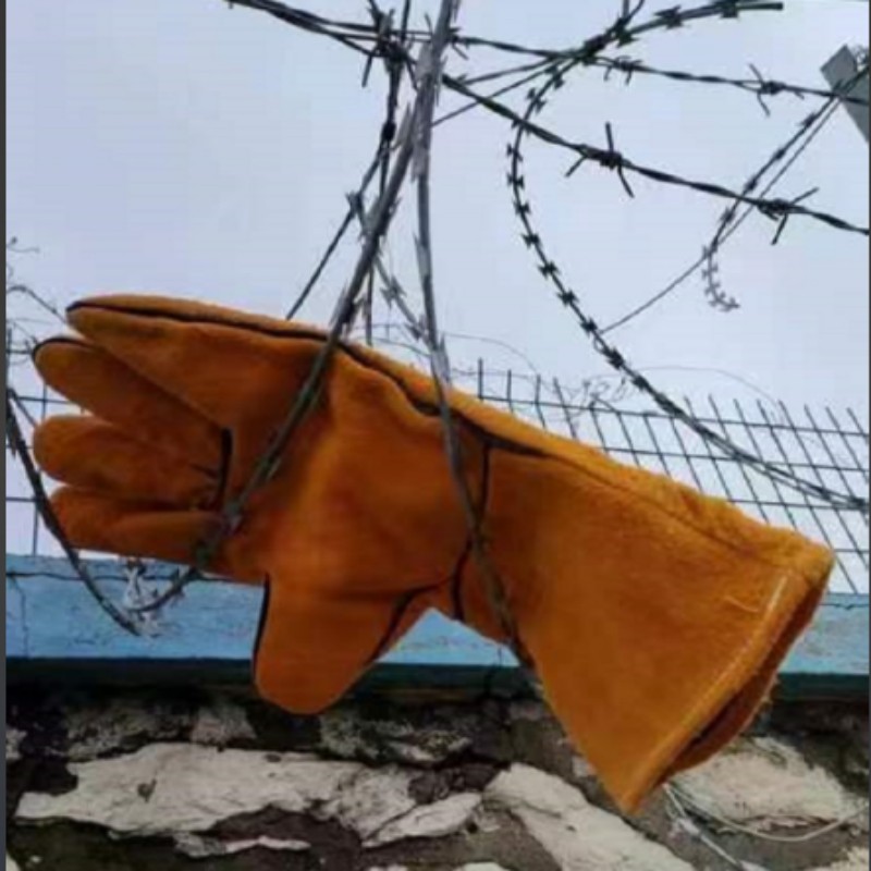 卓凡舒 二层牛皮手套 37公分 双高清大图