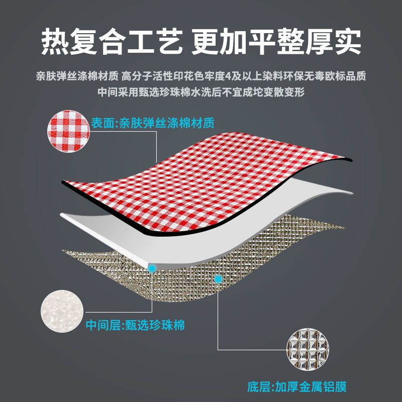 野餐垫铝膜防潮垫牛津野餐布野炊地垫户外便携加厚家用帐篷露营垫 涤棉无拼接4毫米加厚2X0.9红格子