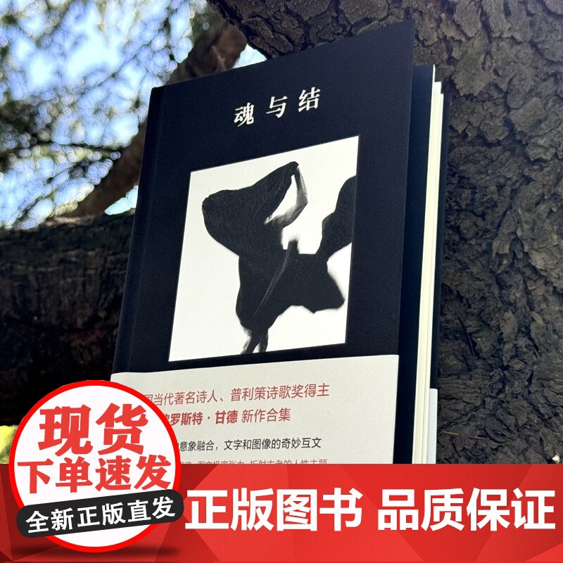 魂与结 弗罗斯特·甘德 著 诗歌词曲高清大图