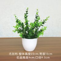 仿真植物假绿植摆件客厅餐桌茶几办公室小盆栽摆设室内装饰花绿萝 尤加利+小盆