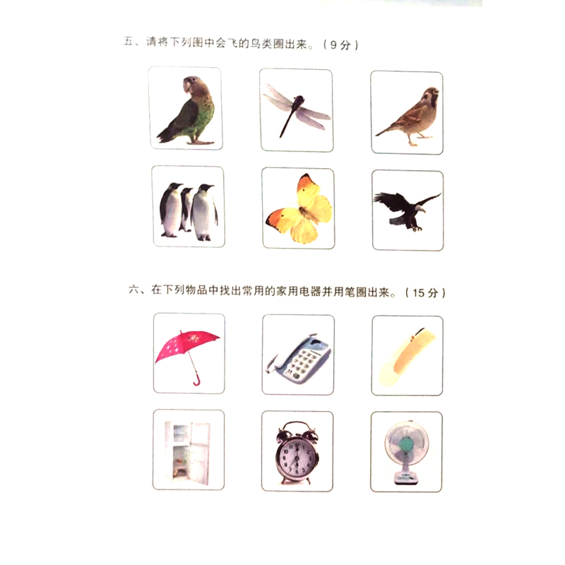 [正版]走向外国语学校幼小衔接综合能力评估语言逻辑图形数学空间认知英语巩固基础真题模拟 衔接小学亲子伴读综合提升