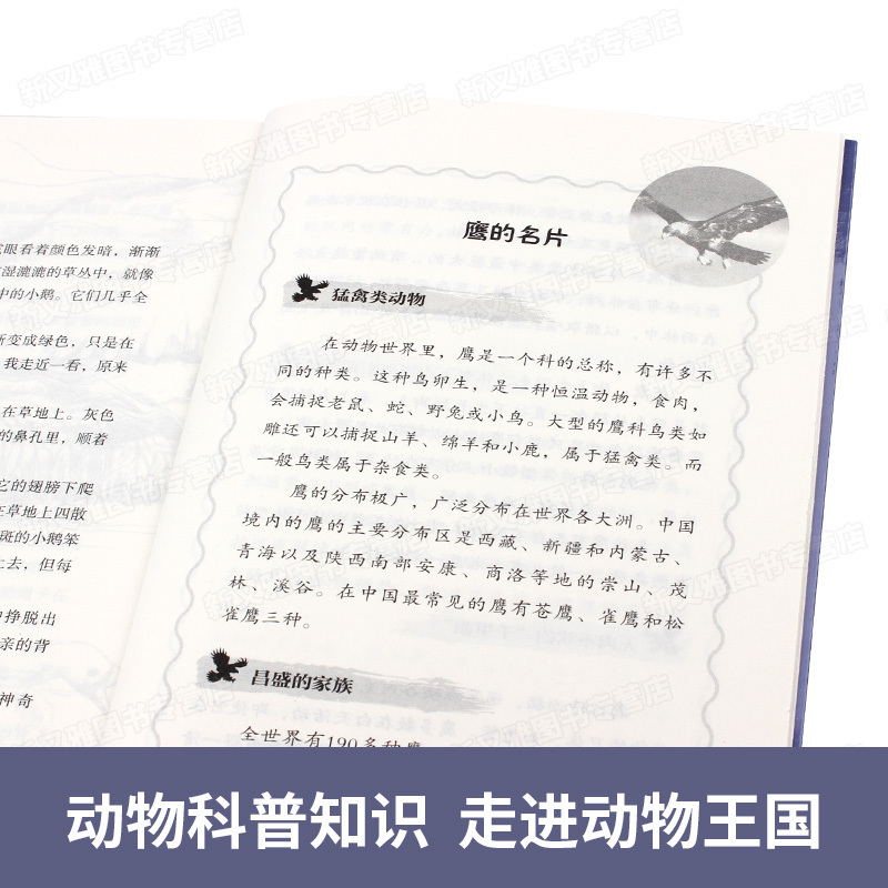 沈石溪动物小说全集正版套装全8册 绝境血狼小学生课外阅读书籍适合三四年级五六年级必读的经典书目老师推荐 儿童文学系列作品