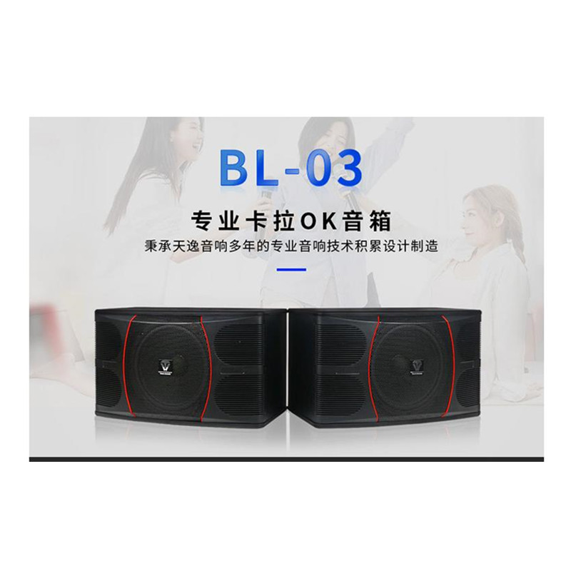 Winner/天逸BL-03百灵三号无源卡包音箱专业卡拉OK音箱