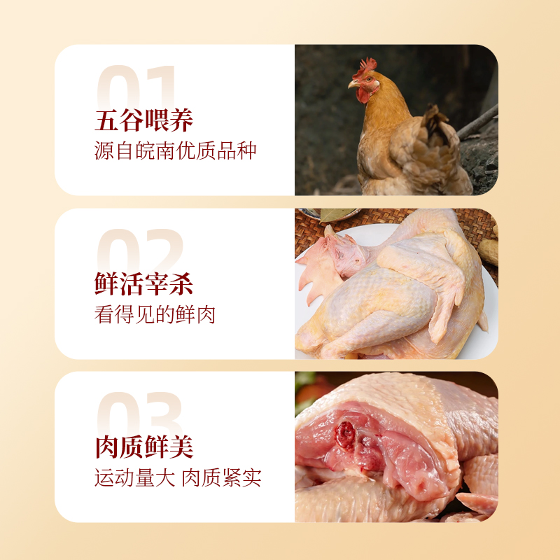 雀淘金鸡报喜年货礼袋老母鸡红烧炖鸡汤肉质鲜嫩过节送礼推荐高清大图