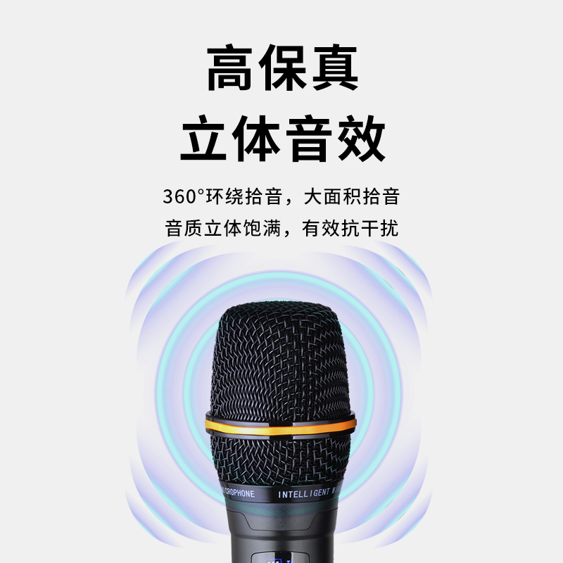 润普Runpu会议音频扩声拉杆音箱二分频8英寸低音卡拉OK户外演出活动野外作训带话筒拉杆音箱RP-S-LG高清大图