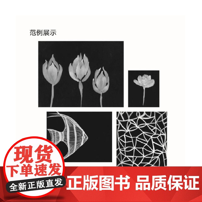 创意黑白画 手绘拼贴剪纸雕刻的手工创意绘画练习赠彩色画纸点线画拼贴画水粉画印画橡皮章黑白绘画上海人民美术出版社正版书籍高清大图
