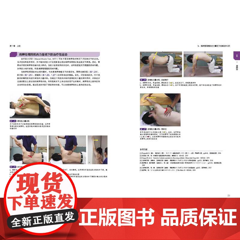 临床肌骨疾病功能解剖和治疗性运动 肌骨功能障碍 功能障碍康复 治疗性运动 北京科学技术高清大图