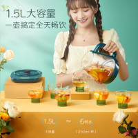 苏泊尔养生壶保温一体全自动恒温电热水壶烧水壶办公室炖煮壶带滤网1.5L家用 煮茶壶 花果茶壶 SW-15YT01带滤网