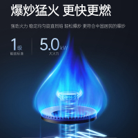 AOTIN/奥田 ZKD3-SD黑色双胆独立蒸烤集成灶一体式侧吸家用厨房烟灶套装大容量环保灶 液化气