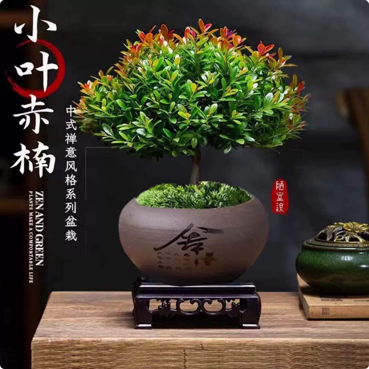 [补贴10%]小叶赤楠老桩盆栽盆景迷你植物室内花卉办公室桌面小绿植好养四季高清大图