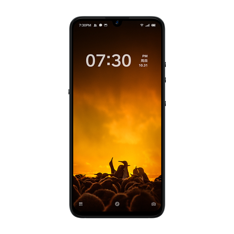 锤子(smartisan) 坚果Pro3 8GB+128GB 黑色 骁龙855PLUS 4800万四摄 全网通双卡双待 全面屏
