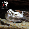 仿真恐龙骷颅头骨躲避屋树脂假山水造景头骨鱼缸水族箱装饰摆件 默认尺寸 XL564犀牛头骨