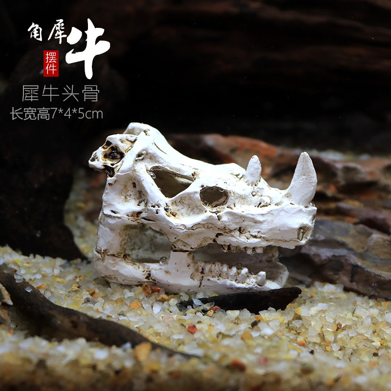 仿真恐龙骷颅头骨躲避屋树脂假山水造景头骨鱼缸水族箱装饰摆件