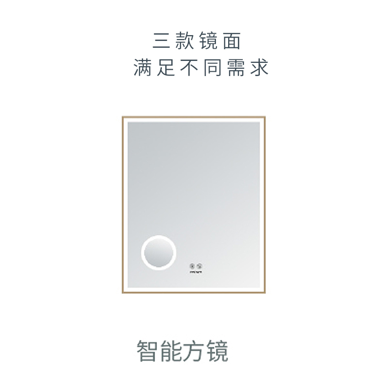 法恩莎卫浴洗脸盆浴室柜组合洗漱台洗手池一体60/80/100公分落地FDGD3616D/F/H