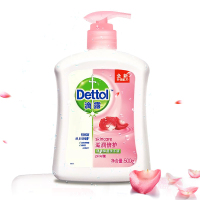 泡沫洗手液 TA0040 家用抑菌消毒液500ML(单位:瓶)