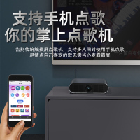 山水（SANSUI） H3 家庭KTV K歌音响套装 套装家庭影院 电视音响全民K歌音响 无线双麦克风居家K歌版家庭音响