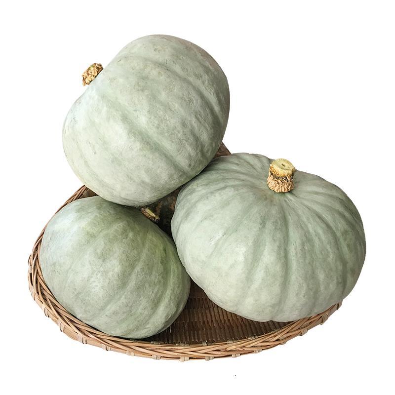 新疆沙漠板栗南瓜新鲜银栗南瓜圆南瓜