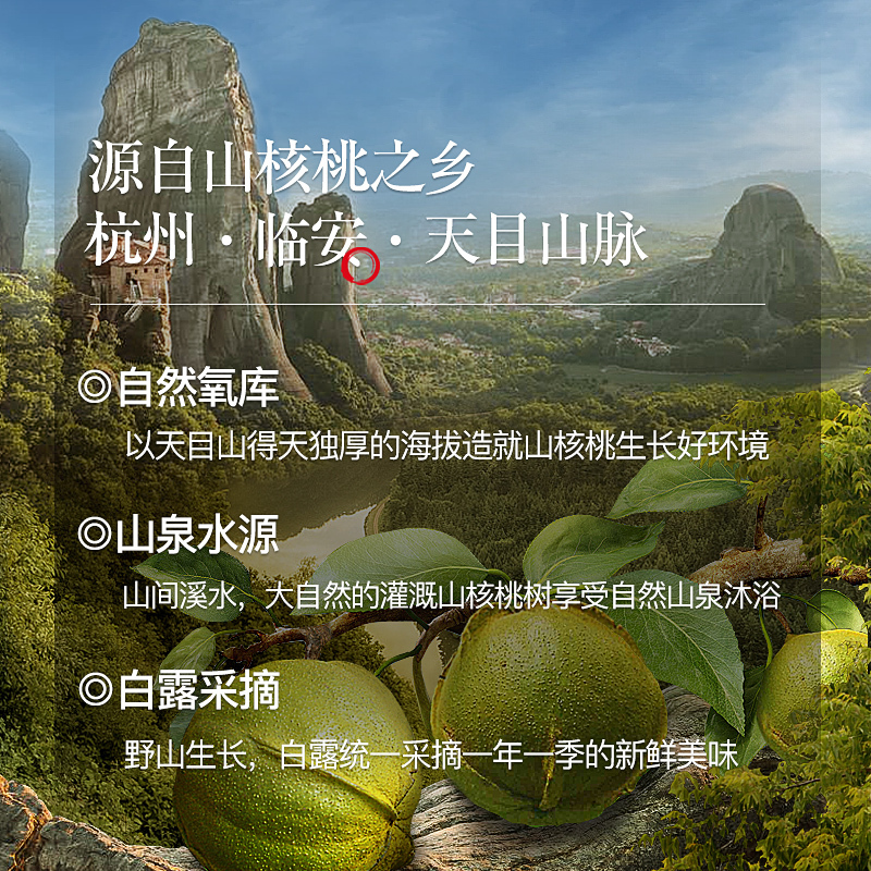[姚生记黑金联名款]苏宁宜品手剥山核桃椒盐味400g/罐杭州临安特产小核桃休闲食品