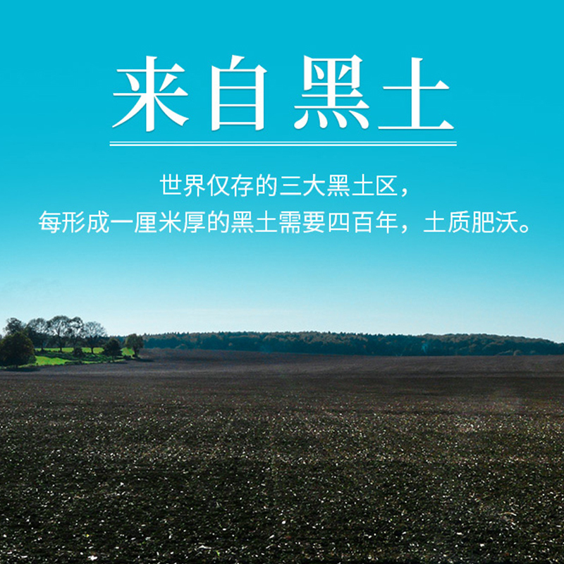 金迎门 东北大米5kg 珍珠米