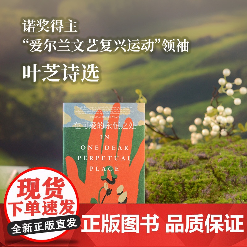 原野诗丛~在可爱的永恒之处:叶芝诗选 威廉·巴特勒·叶芝高清大图