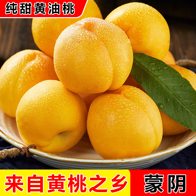 [西沛生鲜]蒙阴黄金油桃整箱净重4.5斤装 当季现摘蜜心新鲜水果