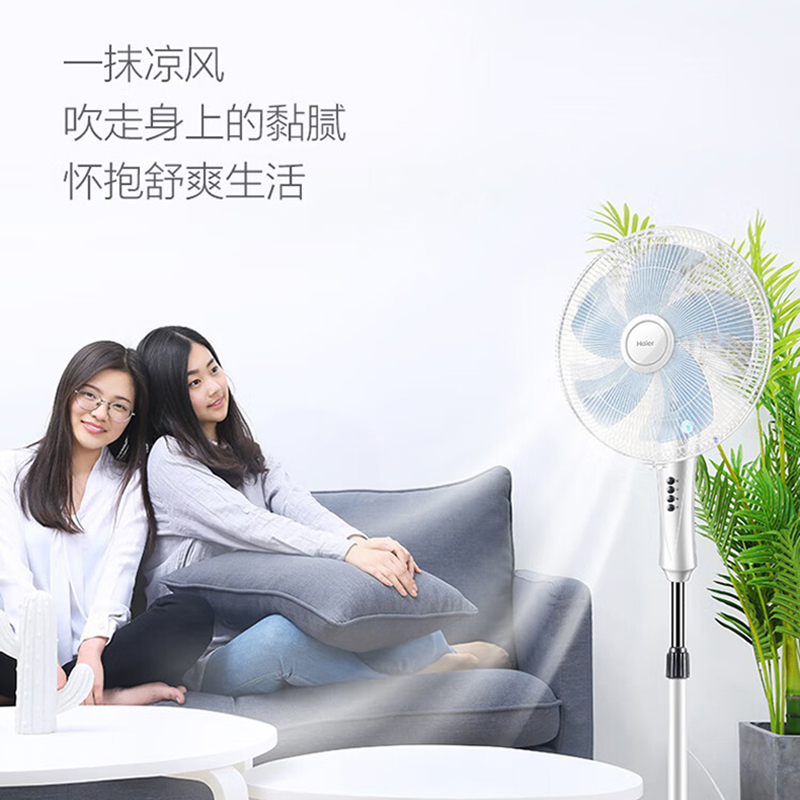 海尔(Haier)落地电风扇家用立式轻音低躁五叶三挡强风摇头送风可伸缩不锈钢支撑杆 加重底盘 办公室宿舍高清大图