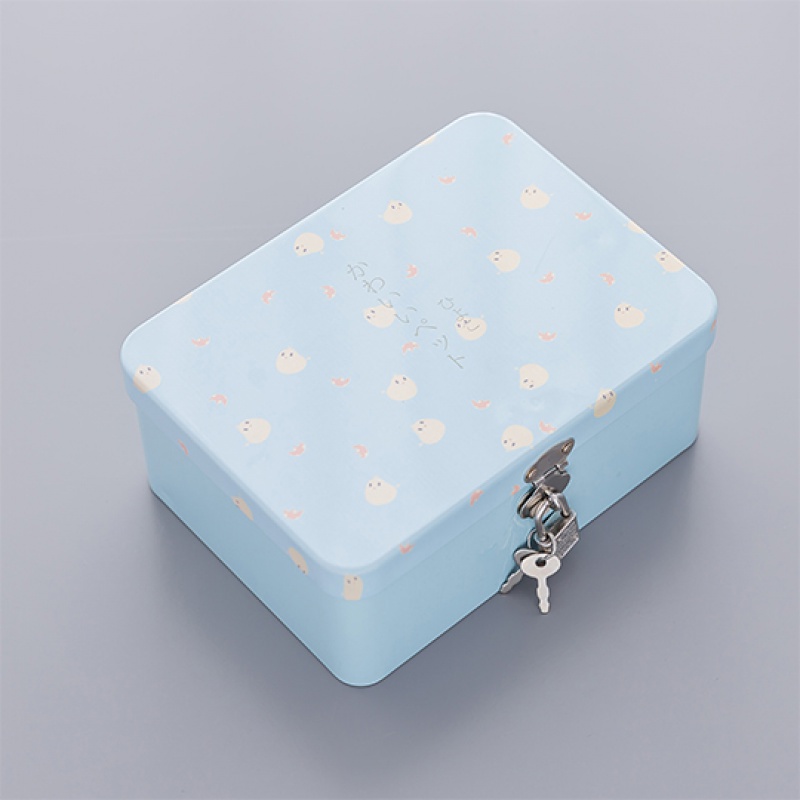 迷你翻盖精致储物盒智扣儿童小号箱子有锁储物箱小铁盒精致小型保密