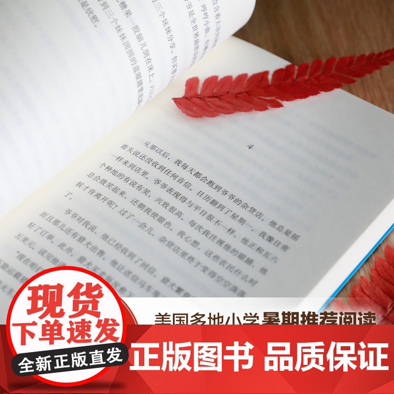 红色羊齿草的故乡 动物小说 成长 励志 小学生课外读物 爱心树世界经典童书精选 儿童文学 7-10 11-14 正版高清大图
