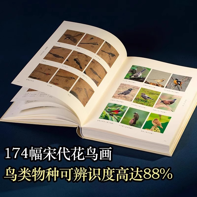 2册]形理两全+应物而祥 [正版]形理两全 宋画中的鸟类+应物而祥 明清花鸟画的另类视野 全2册解读宋代鸟类宋朝国画绘画