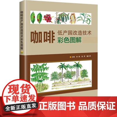 咖啡低产园改造技术彩色图解 孙燕,张昂,董云萍主编 中国农业科学技术出版社9787511666208