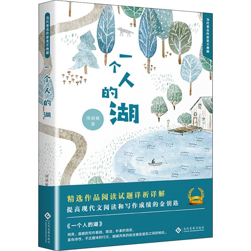 醉染图书一个人的湖9787514224702高清大图