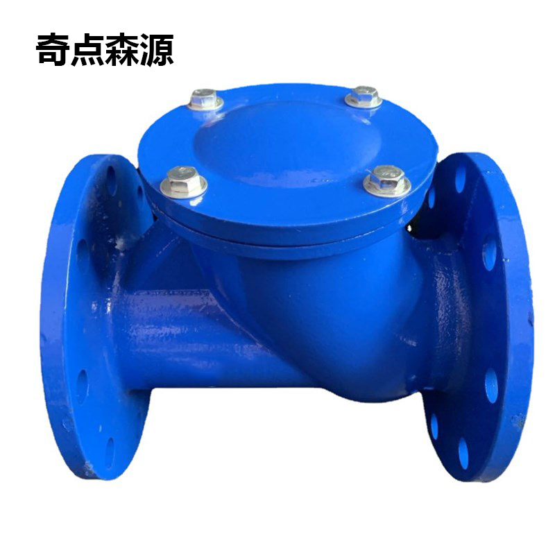 奇点森源 逆止阀 DN50 个高清大图