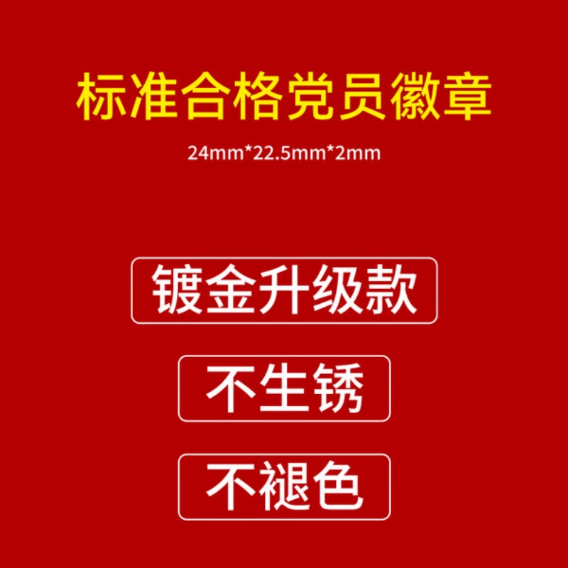 速买宝 标准 别针款 党员徽章(胸章)100个装高清大图