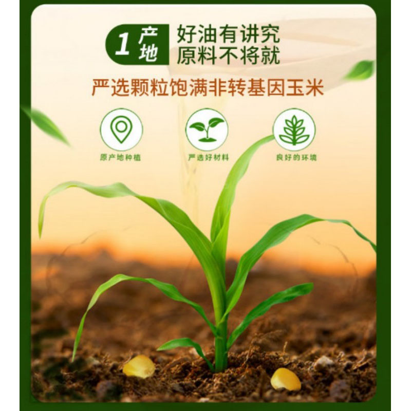 鲁王 压榨玉米油 4L LW0025 单位:桶高清大图