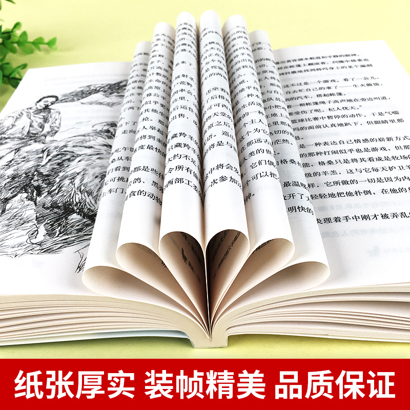 [经典两册]我和小狼芬里尔+黑焰 [正版]黑焰 黑鹤动物文学精品系列 小学生三四五六年级课外阅读6-7-9-12岁治愈非高清大图