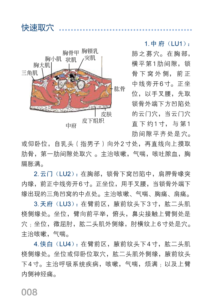 [醉染正版]正版 人体经络穴位速学图册 郭长青 中医养生书籍 人体穴位按摩全图解 筋络穴位速记手册 常见病症家庭按摩书高清大图