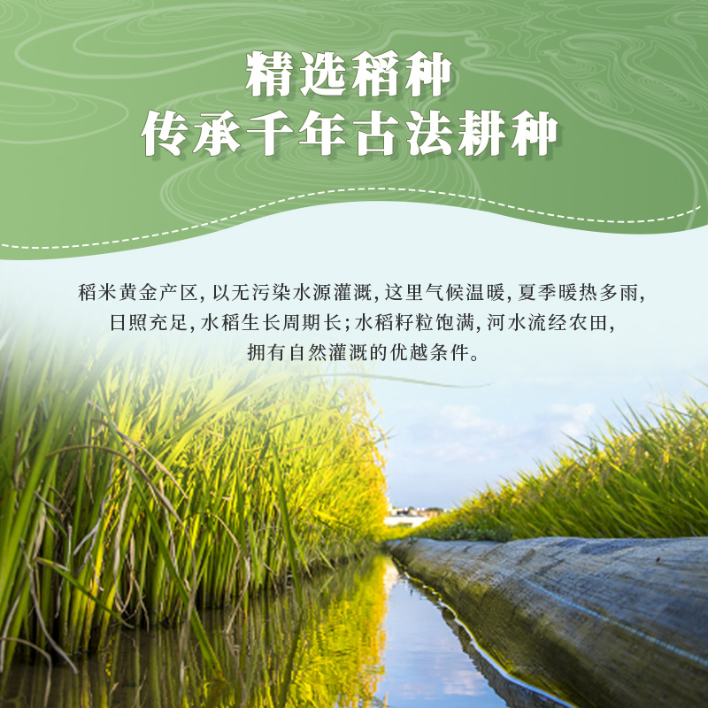 媛妈家有机胚芽米5kg新米当季现磨胚芽保留营养丰富蒸煮香软弹润健康主食优选高清大图
