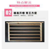 育王框双排取浆框养蜂育王工具单排杉木优质王浆框中蜂意蜂土蜜蜂 单排育王框