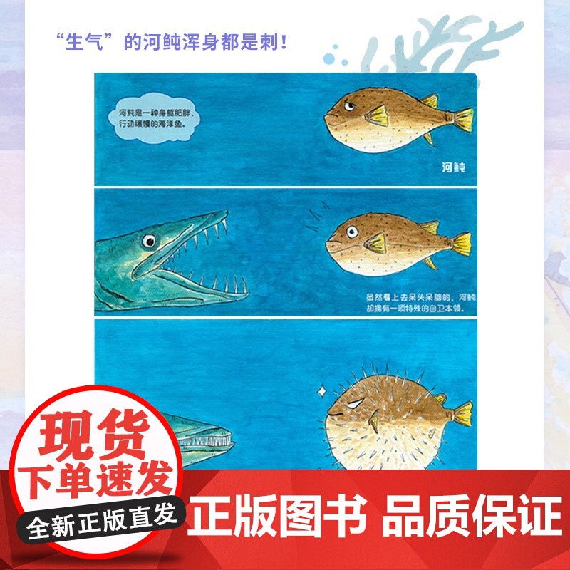手绘海洋动物(修订版) 海洋百科全书 彩图绘本 海洋生物科普读物 海底世界科普百科全书 你不可不知的海洋之谜书籍高清大图