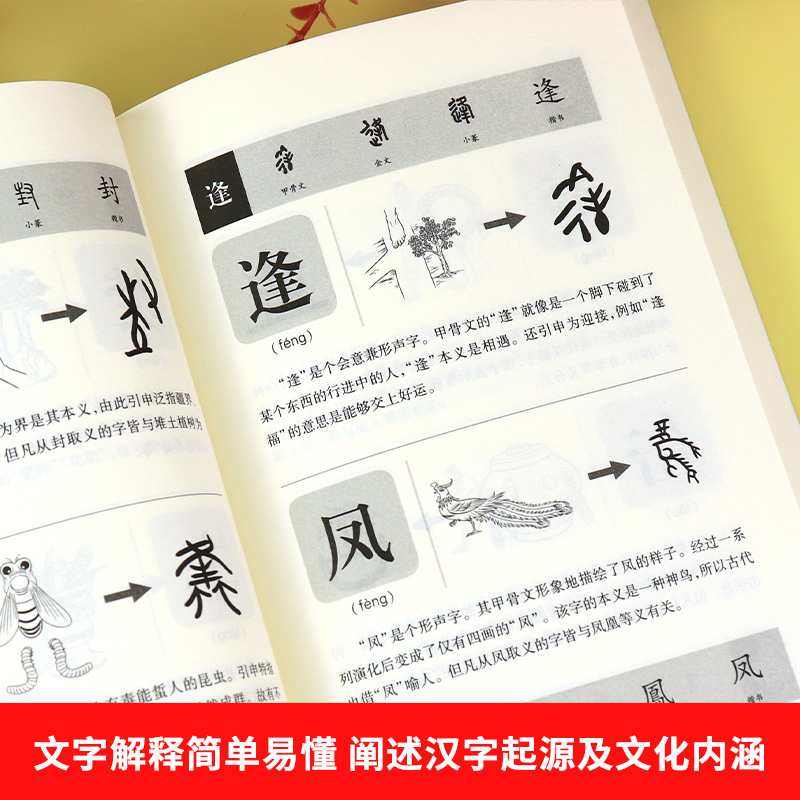 [2册]说文解字+汉字的故事 [正版]全2册说文解字详解许慎给孩子的汉字王国 画说汉字小学版文字的演变 象形文字图解部首