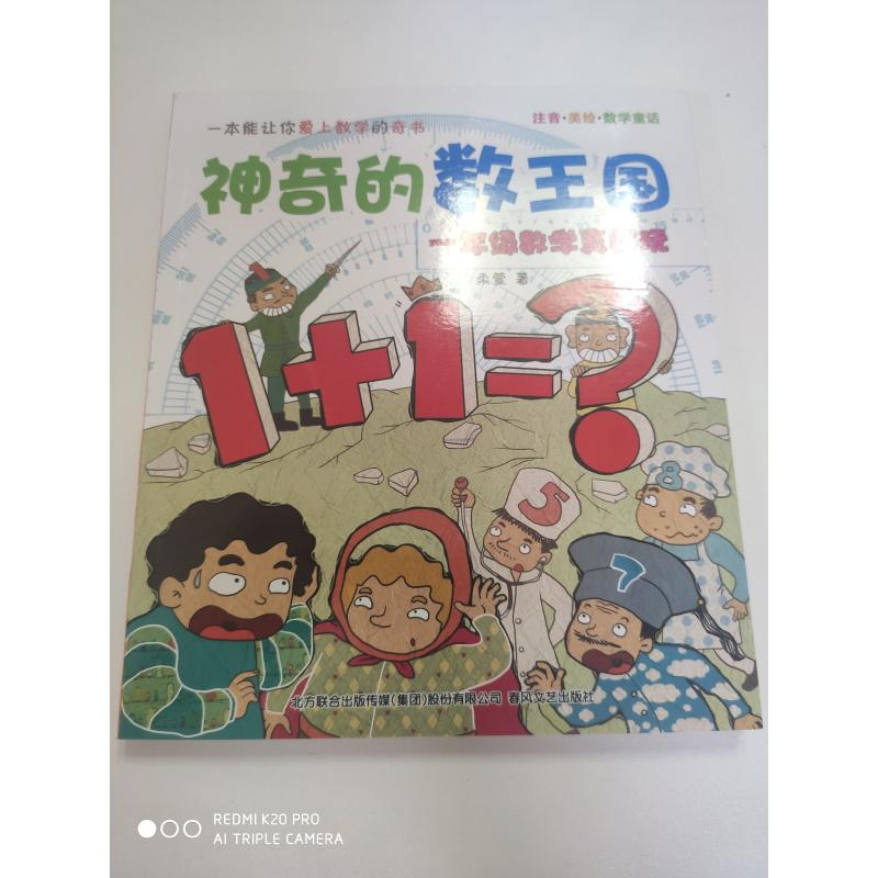 醉染图书的数王国9787531349099高清大图