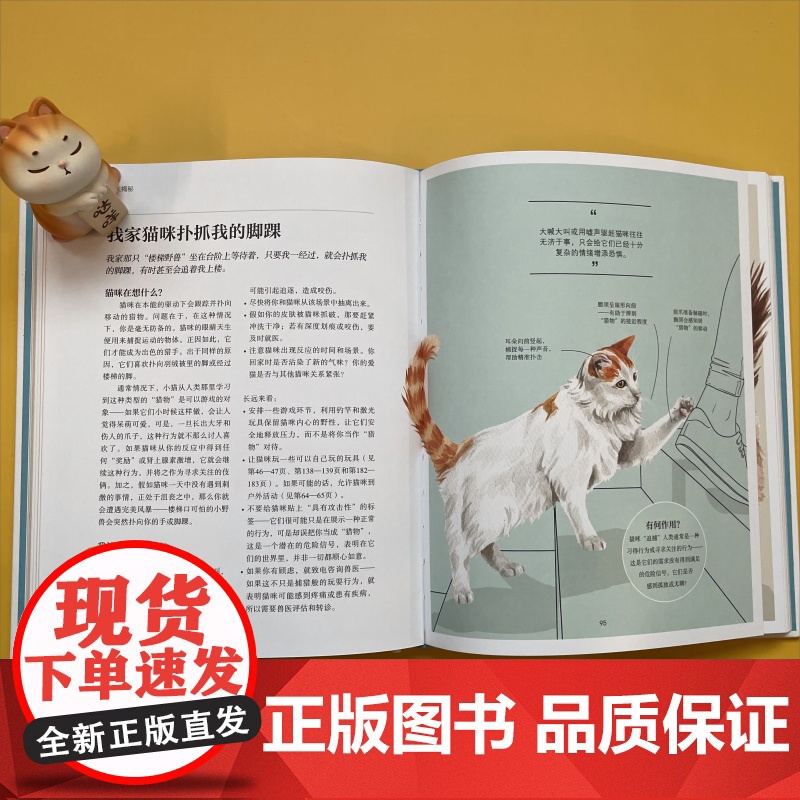 DK猫咪心思大揭秘 乔刘易斯上海文化出版社宠物生活喵星人铲屎官日常高清大图