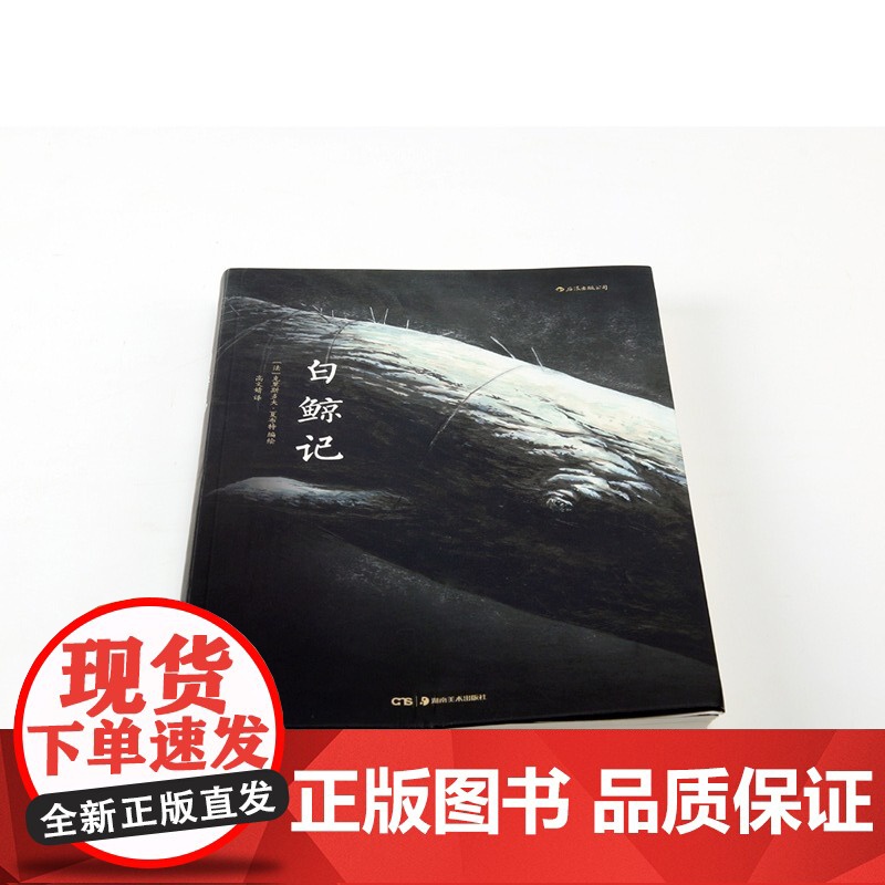 [央视网]白鲸记 一个男人对抗一头白鲸的孤独狩猎 一个关于复仇 信念与殉道者的伟大故事HL高清大图