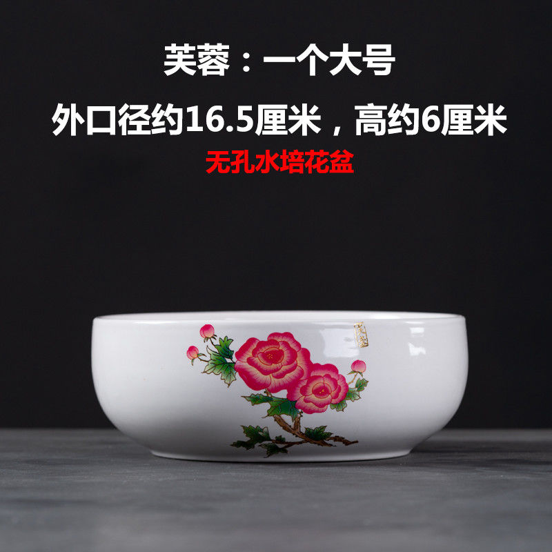 水培花盆陶瓷清仓铜钱草水仙碗莲睡莲荷花水培容器大号盆栽特价 芙蓉:一个大号(水培)