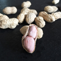 【龙岩花生】福建特产正宗龙岩五香花生500g/袋坚果休闲零食粒大饱满
