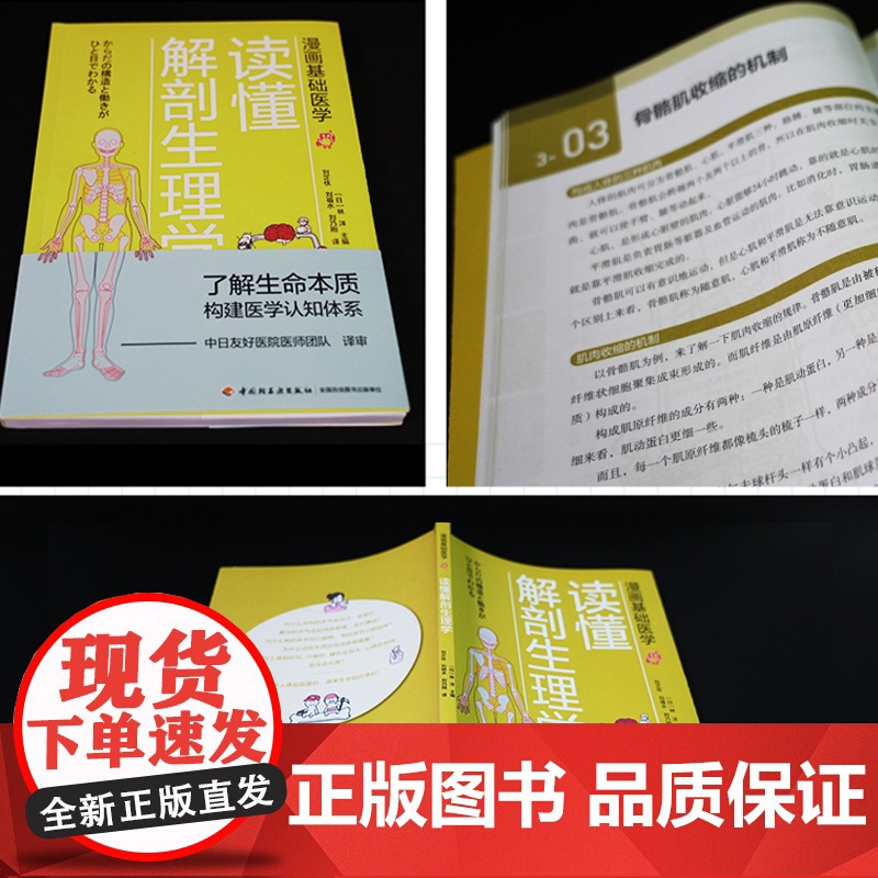 漫画基础医学:读懂解剖生理学 林洋 中国轻工业出版社 正版书籍高清大图
