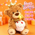会唱生日歌的小熊录音玩偶公仔娃娃毛绒女孩玩具泰迪熊送宝宝1663 20cm 会唱生日歌的小熊（充电电池款）