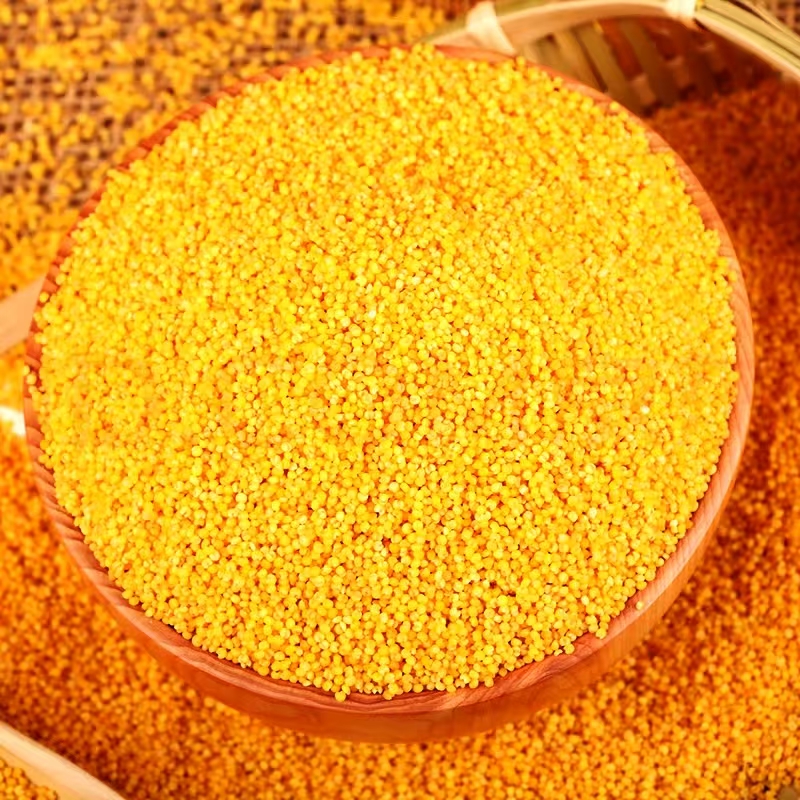 天地粮人 东北红谷子小米袋装 350g*5包(单位:袋)高清大图